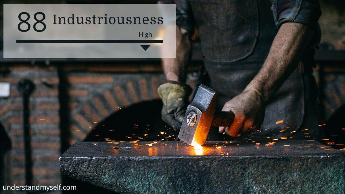 Industriousness